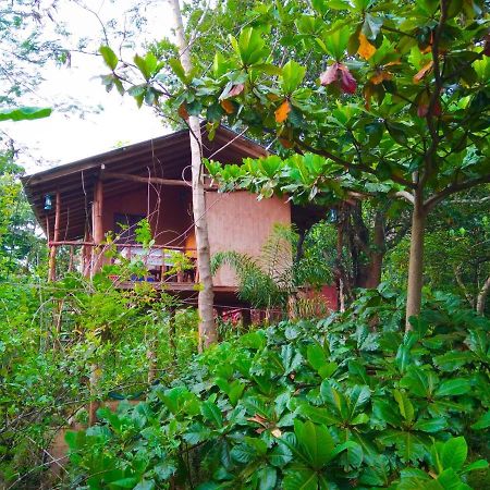 シギリヤAkash Treehouseアパートメント エクステリア 写真