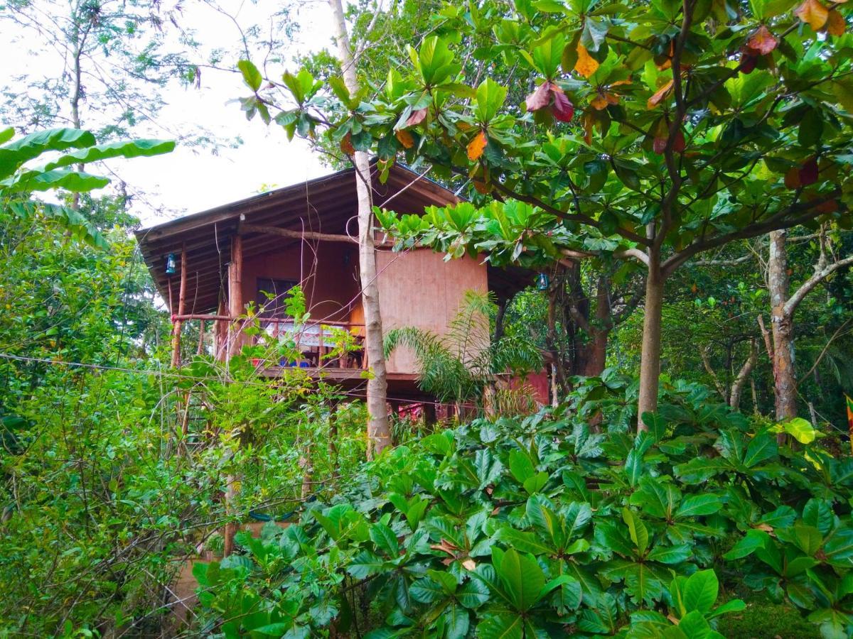 シギリヤAkash Treehouseアパートメント エクステリア 写真