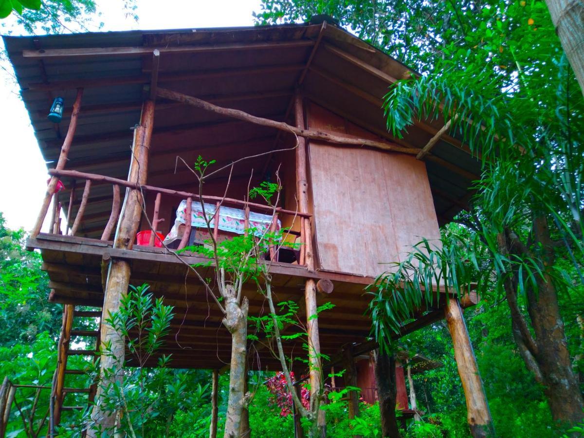 シギリヤAkash Treehouseアパートメント エクステリア 写真