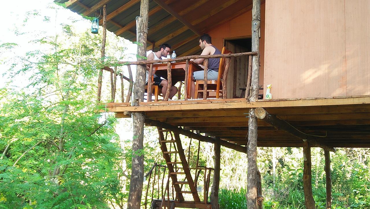 シギリヤAkash Treehouseアパートメント エクステリア 写真